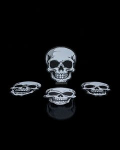 Skull Coaster
